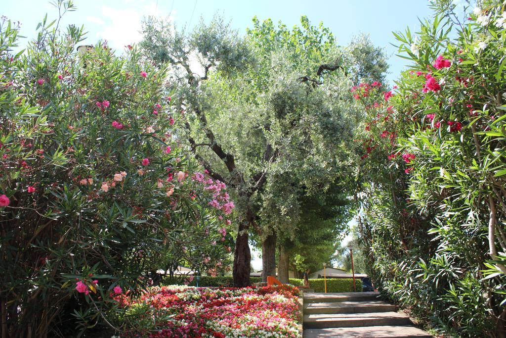 Camping Cisano - San Vito Bardolino Exterior photo